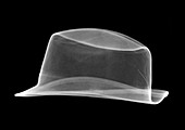 Trilby hat, X-ray