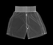 Boxing shorts, X-ray