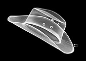 Cowboy hat, X-ray