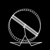 Hamster wheel, X-ray