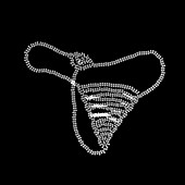 Peppermint g-string underwear, X-ray