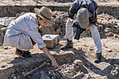 Archaeological dig