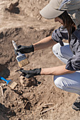 Archaeologist excavating skeleton