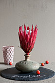 Modern arrangement with protea flower in vase