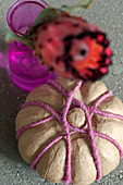 Künstlicher Kürbis dekoriert mit Wollschnur, unscharfe Protea-Blüte