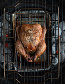 Roast chicken on the coals