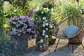 Hanging geraniums 'White Pearl' 'Decora Pink' on a gravel terrace, Acapulco chair and tubular stake