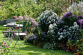 Small seating area at the aster bed