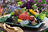 Holzschale mit Hokkaido-Kürbis, Äpfeln, Weintrauben, Zucchini, Brombeeren, Hagebutten, Weinlaub und Sonnenblume