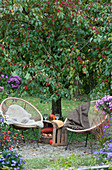 Small seating area in front of a crabapple tree