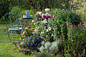 Herbstbeet mit Chrysantheme 'White Bouquet', Aster 'Sapphire', Dahlien und Ziersalbei Rockin
