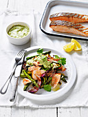 Barbecued Salmon with Chermoulla Sauce