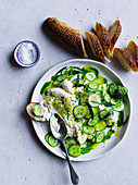 Burrata with herb oil and cucumber