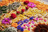 Fragrant flower buds and delicate petals arranged on rustic wooden table