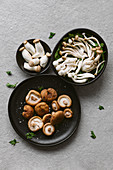 Assorted raw mushrooms served on plates with fresh parsley on table in kitchen