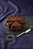 Chocolate cream cake, sliced