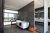 Free-standing bathroom with modern bathtub and mirrored wall