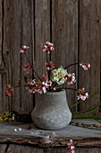Branches of Bodnant viburnum in small vase against rustic wooden wall