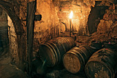 Wooden barrels in a traditional beer cellar