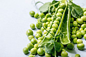 Heap of young sweet organic green pea in pods with sprouts over grey background