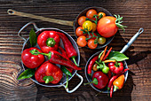 Stillleben mit roten Paprika, Chilischoten und Tomaten