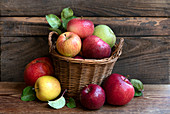 Different kinds of apples in a basket on a wooden table in the garden