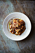 Venetian duck ragu