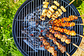 Different skewers on a charcoal grill