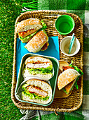Crispy chicken sandwiches with lettuce and avocado for a picnic