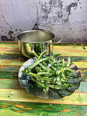 Preparing kale soup from kale stalks