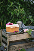 Raspberry cheesecake with meringue