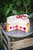 Raspberry cheesecake with meringue