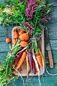 Carrots on green background