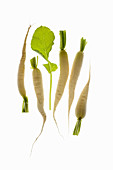 Icicles (turnips)