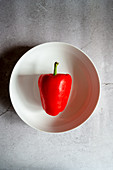 Eine rote Paprikaschote auf weißem Teller