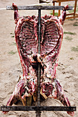 Asado being made – a whole lamb being grilled on an iron spit