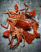 Lobster shells