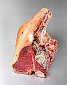 A T-bone steak being matured – after 6 days