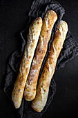 Homemade French baguettes