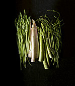 White, green and wild asparagus