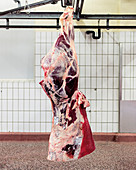 Beef hind quarters on a hook