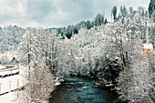 Murg (Fluss) im Winter, Baden-Württemberg, Deutschland