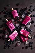 Homemade yoghurt ice cream on sticks with blueberries and blackberries