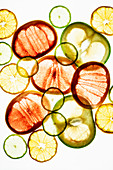 Transculent citrus fruit slices
