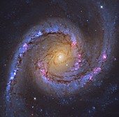 Spanish Dancer Galaxy, Hubble Space Telescope image