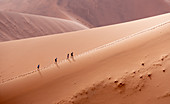 Hikers on sand dune, Namibia