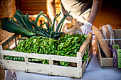 Local farmers selling vegetables