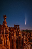 Comet Neowise over Bryce Canyon National Park, Utah, USA