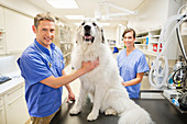 Veterinarian s examining dog