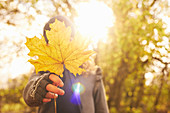 Boy holding autumn leaf outdoors